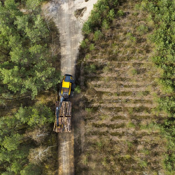 DJI_0106a